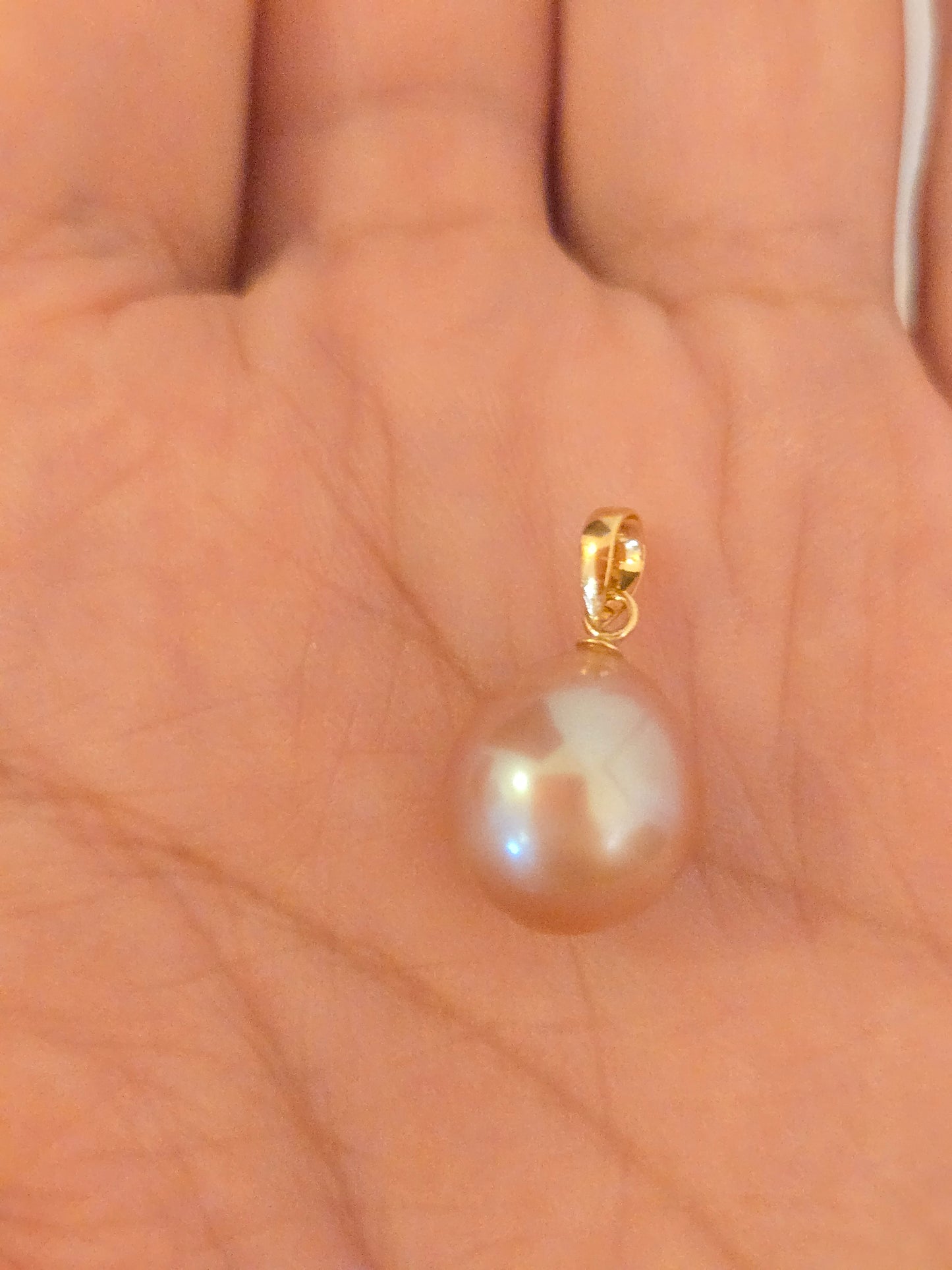 #962 特別商品2点