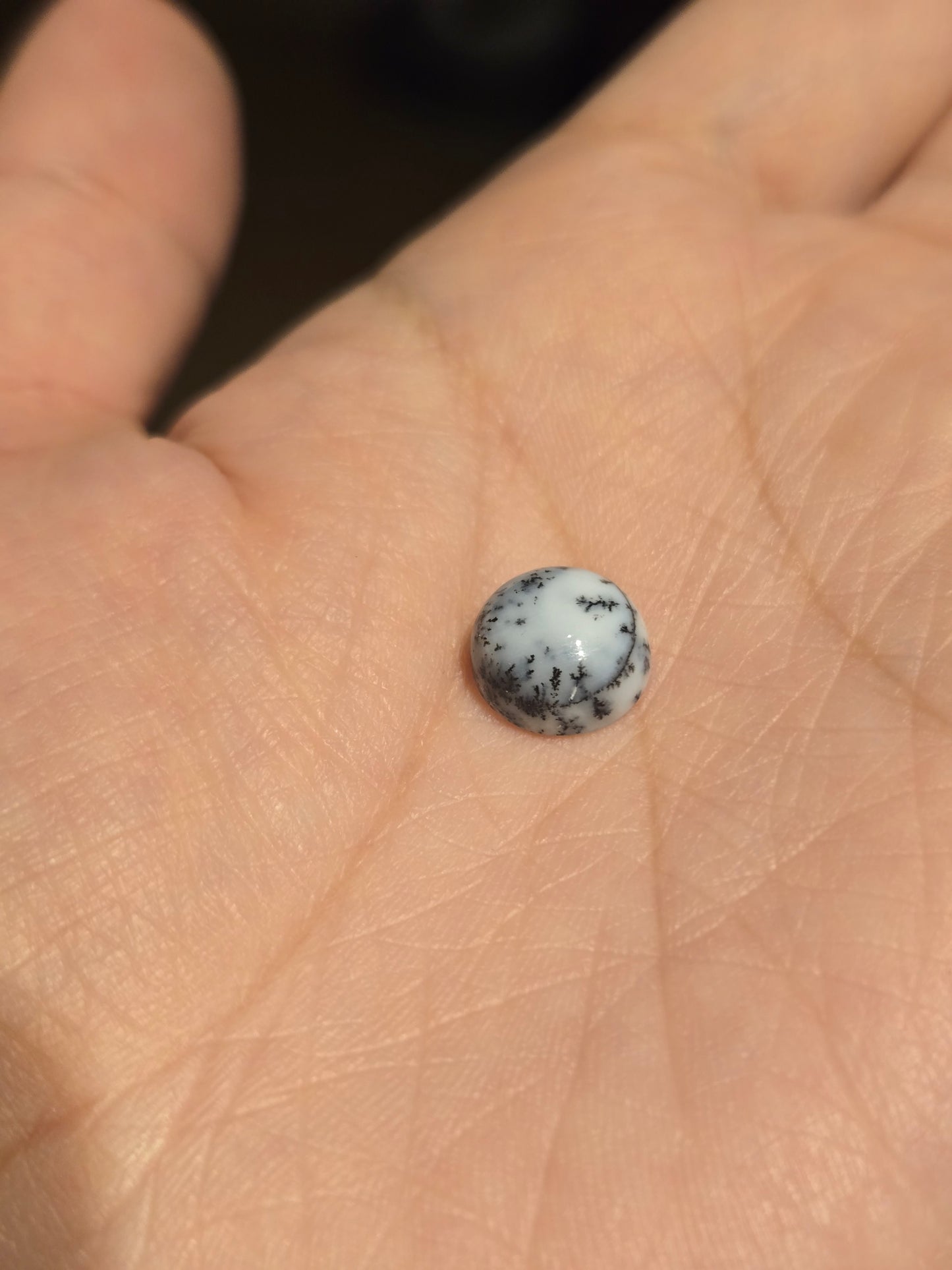 #1095 デンドライトオパール・リング